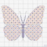 papillon_points